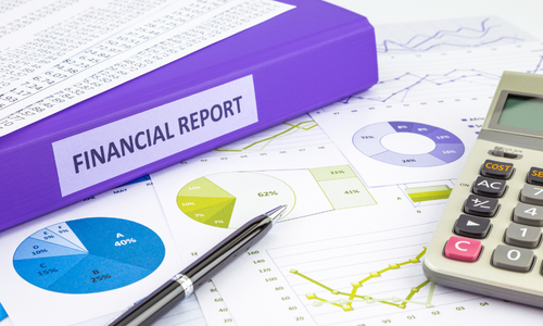 Professional Financial Analysis